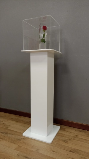 Showcase with white pedestal